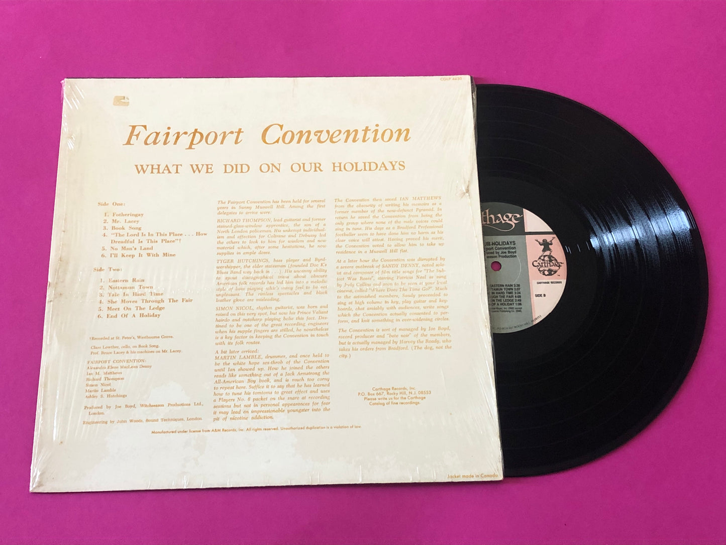 Fairport Convention : What We Did On Our Holidays (LP, Album, RE, Eur)