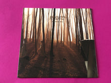 Load image into Gallery viewer, Anekdoten : A Time Of Day (LP, Album, RE, RM, 180)