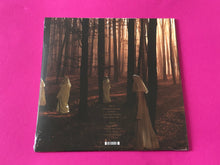 Load image into Gallery viewer, Anekdoten : A Time Of Day (LP, Album, RE, RM, 180)