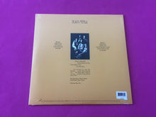 Load image into Gallery viewer, Black Merda : Black Merda (LP,Album,Reissue,Repress)