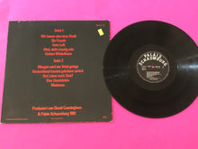 Load image into Gallery viewer, Palais Schaumburg : Palais Schaumburg (LP,Album,Stereo)