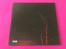 Load image into Gallery viewer, Anathema : Hindsight (LP, Album, RE, RM)