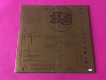 Load image into Gallery viewer, Maistah Aphrica : Meow (LP, Album)