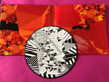 Load image into Gallery viewer, Nils Petter Molvær : Switch (LP, 180 + LP, S/Sided, Pic, 180 + Album, P/Mixed)