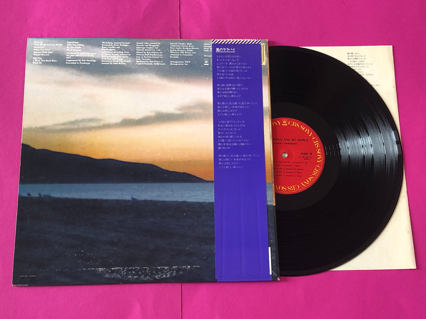 Albert Hammond : Your World And My World (LP,Album)