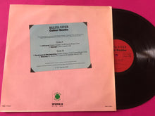 Load image into Gallery viewer, Gabor Szabo : Belsta River (LP,Album,Reissue,Remastered)