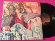 Load image into Gallery viewer, Black Flower (2) : Abyssinia Afterlife (LP, Album)