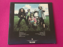 Charger l'image dans la galerie, Afflicted : Prodigal Sun (LP,Album,Reissue,Remastered)