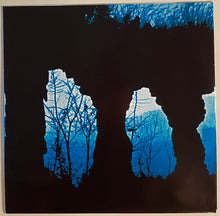 Load image into Gallery viewer, Edgar Froese : Ages (LP, Album, RSD, RM, Fro + LP, Album, RSD, RM, Fro)