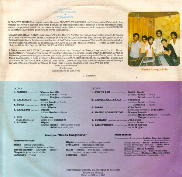 Banda Imaginária : Ave De Pau (LP, Album)