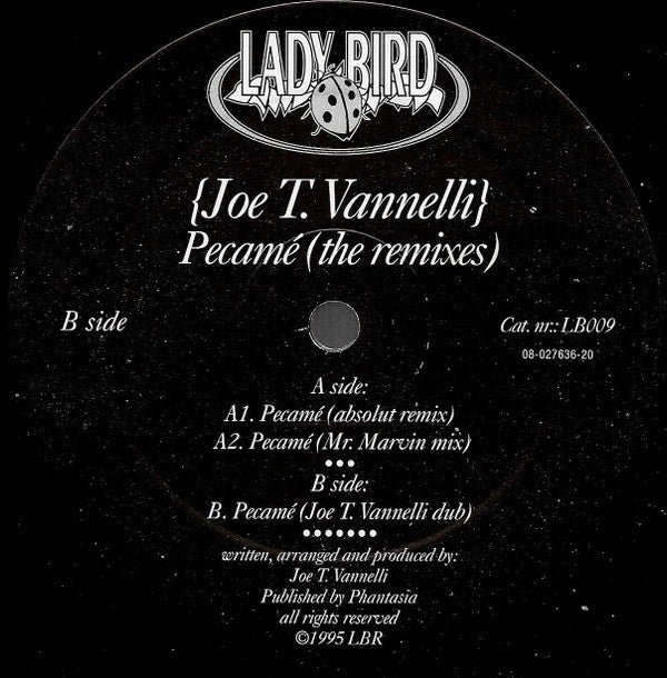 Joe T. Vannelli : Pecamé (The Remixes) (12")