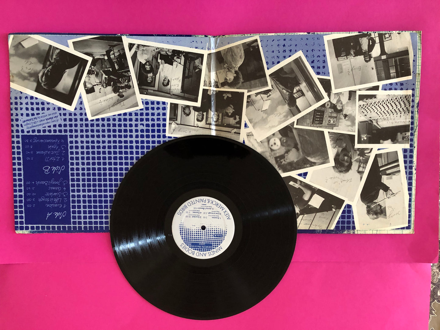 Alex Merck & Painted Birds (2) With Special Guest Raul De Souza : Minds And Bodies (LP,Album)