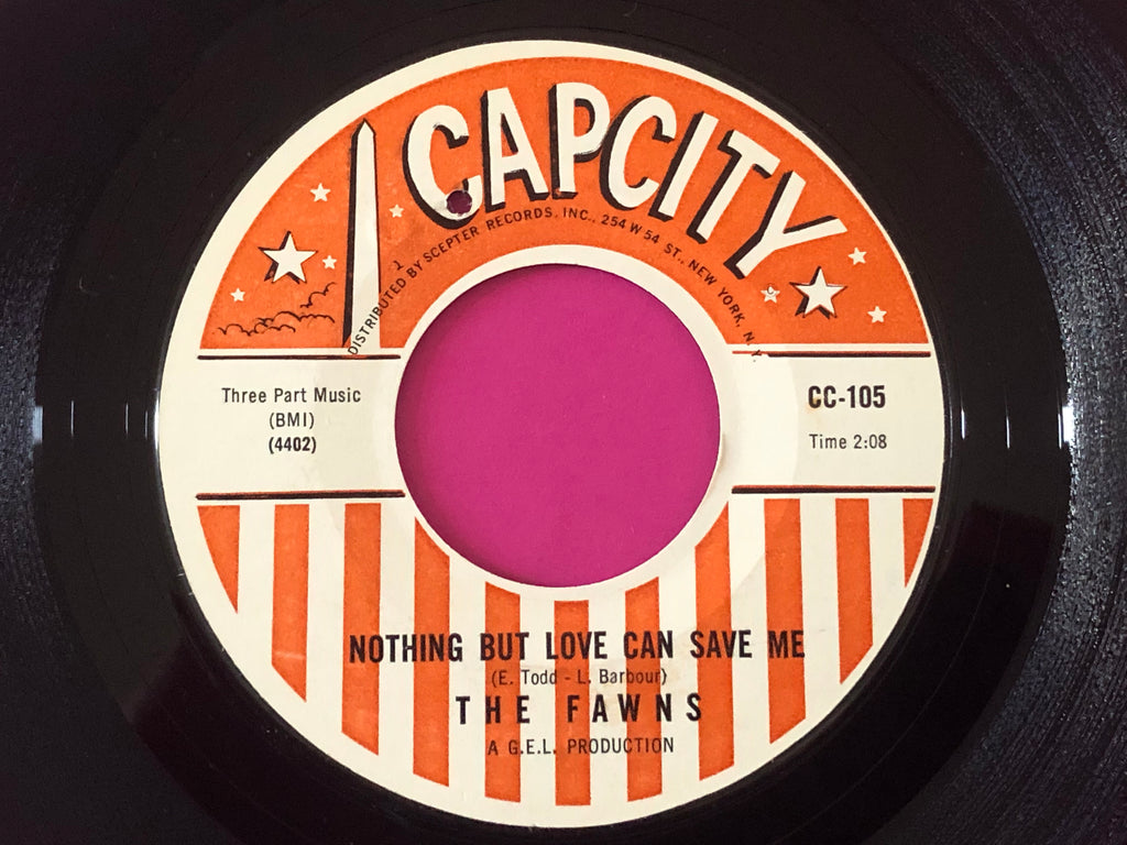 The Fawns : Nothing But Love Can Save Me (7", Single)