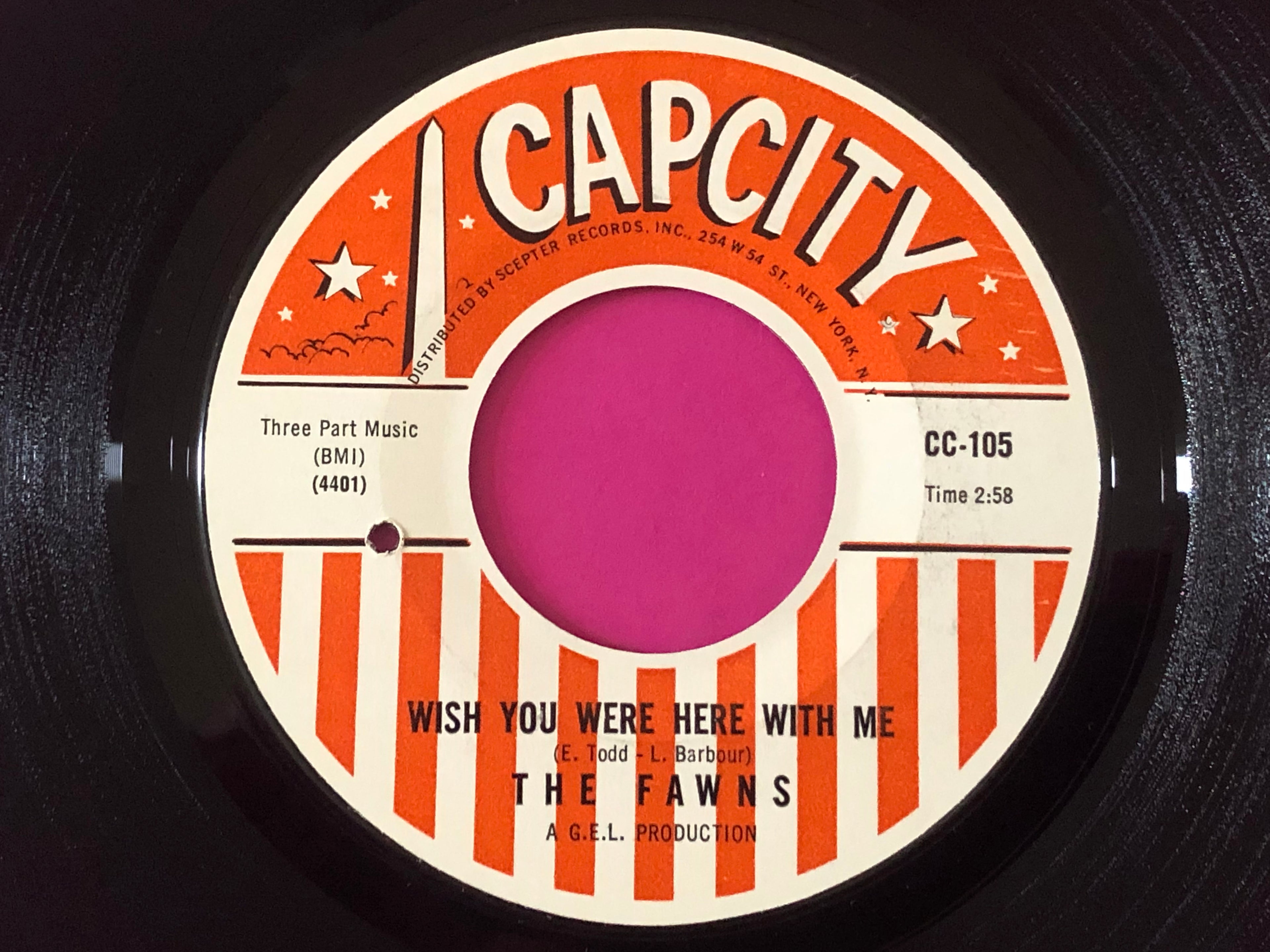 The Fawns : Nothing But Love Can Save Me (7", Single)
