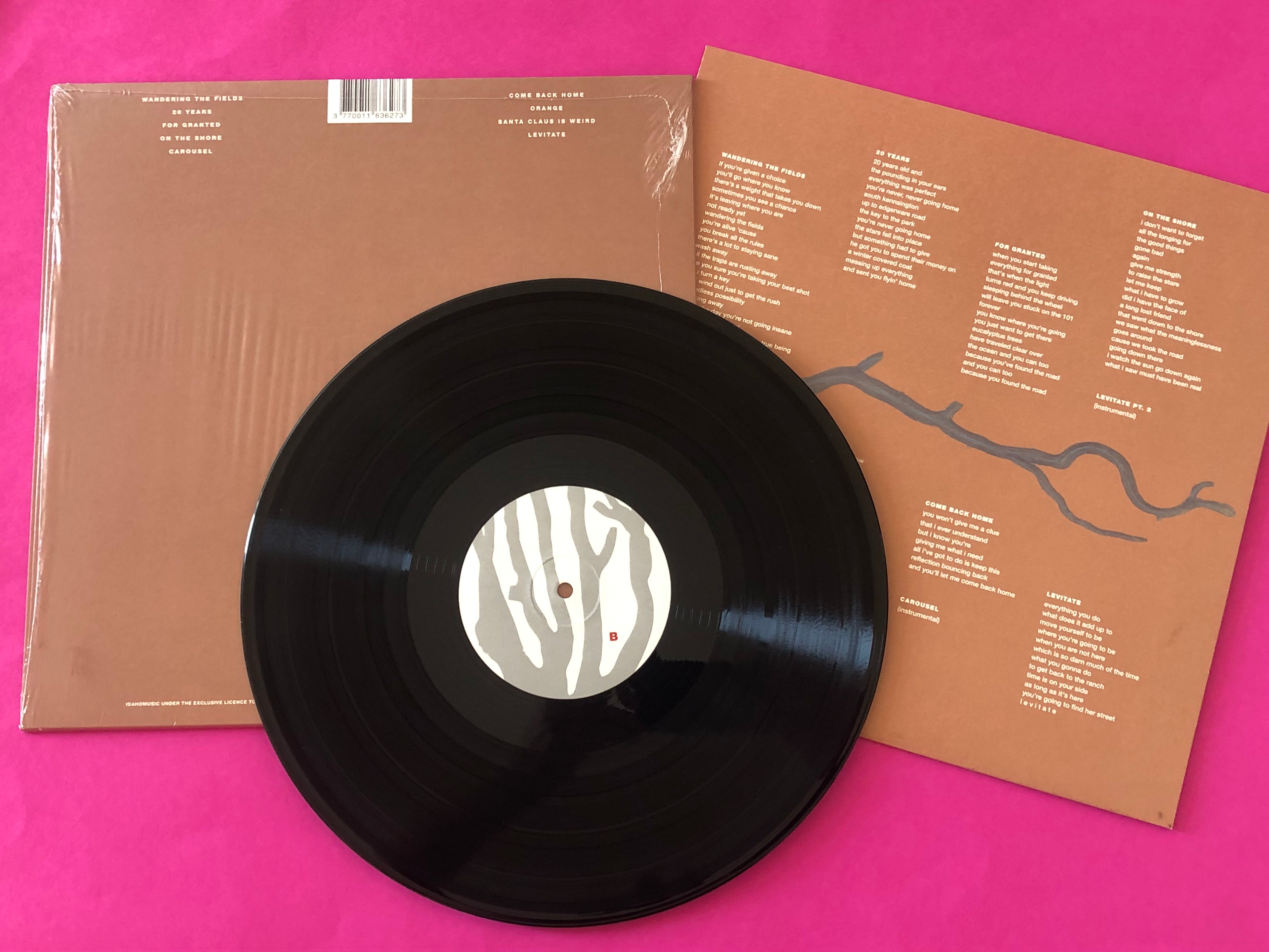Idaho : Levitate (LP, Album)