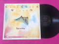 Cassandra Wilson : Point Of View (LP, Album)
