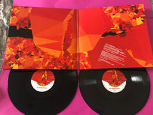 Load image into Gallery viewer, Nils Petter Molvær : Switch (LP, 180 + LP, S/Sided, Pic, 180 + Album, P/Mixed)
