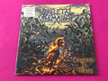 Skeletal Remains (3) : Condemned To Misery (LP, Album, RE, RM, 180)