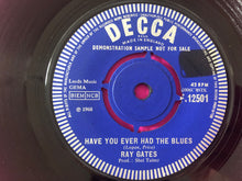 Load image into Gallery viewer, Ray Gates : It&#39;s Such A Shame (7&quot;, Promo)
