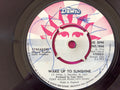 Streakers : Turn Me Down (7", Pus)