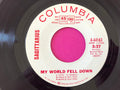 Sagittarius (2) : My World Fell Down (7", Single, Promo)