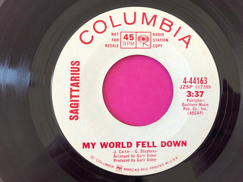 Sagittarius (2) : My World Fell Down (7