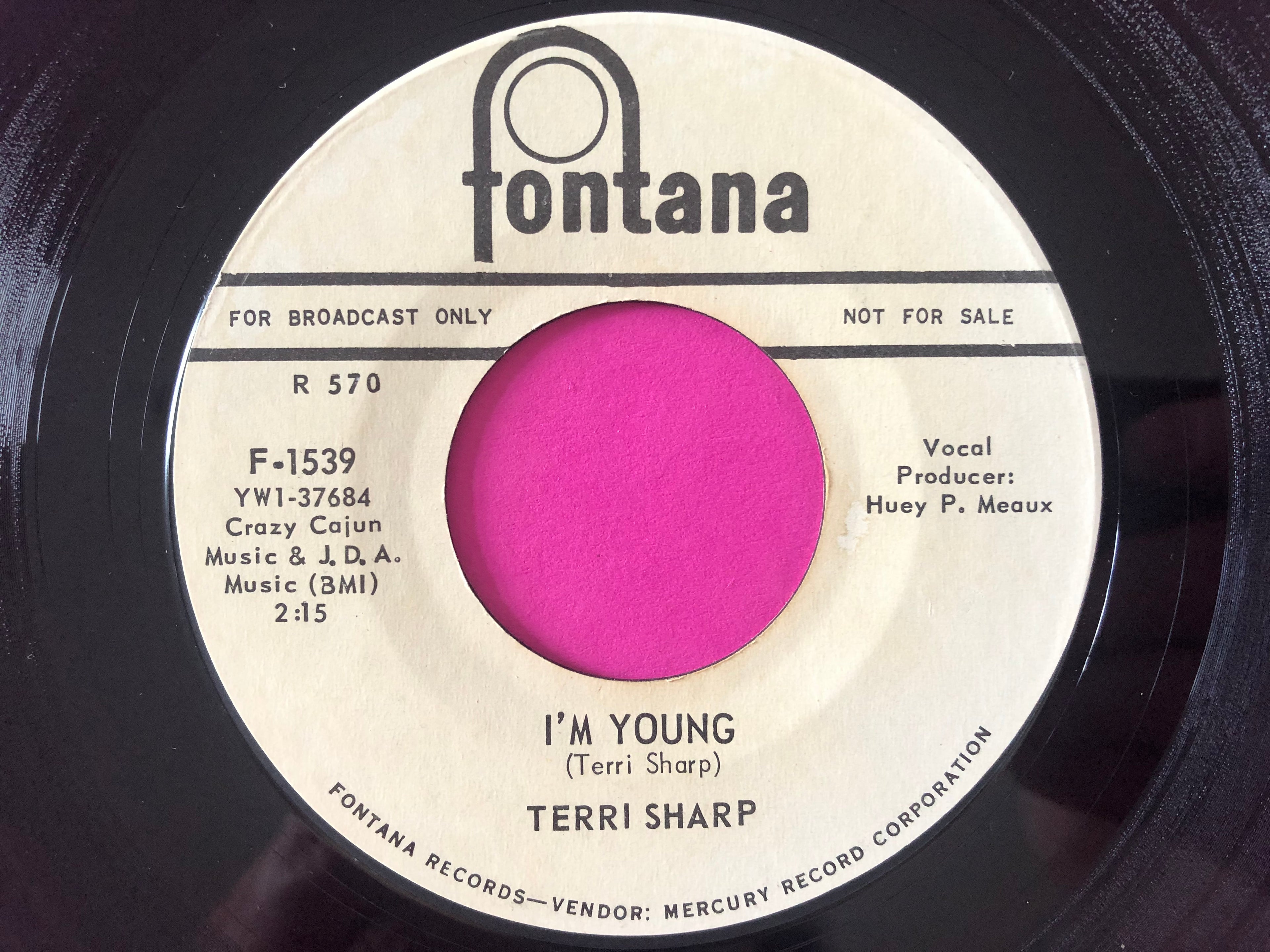Terri Sharp : A Love That Will Last / I'm Young (7", Promo)