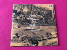 Load image into Gallery viewer, Nas : Illmatic (LP, Album, RE)
