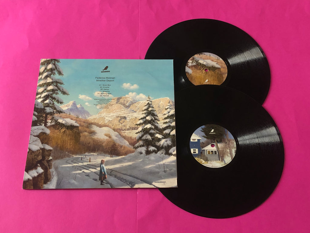 Federico Molinari : Whether Deport (2x12")