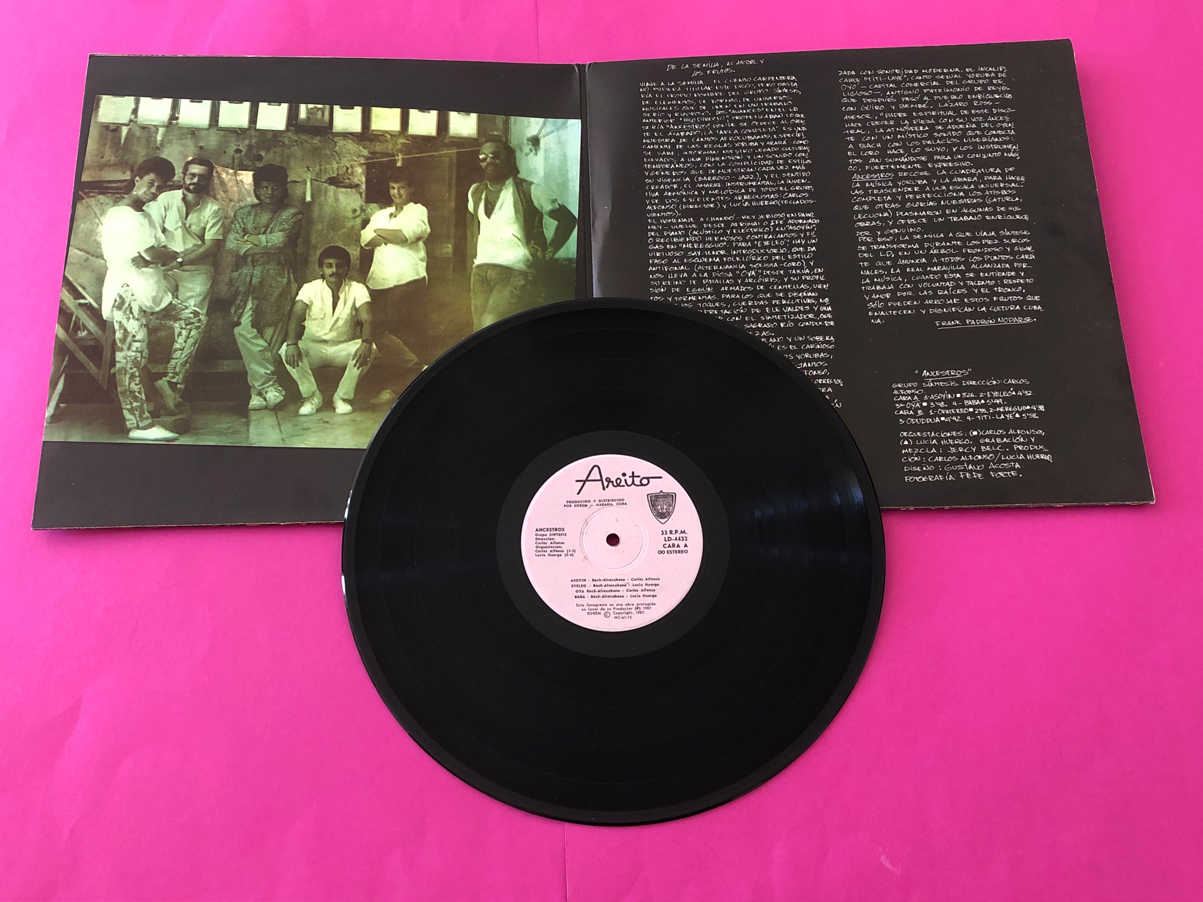 Grupo Sintesis : Ancestros (LP,Album)