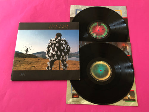 Pink Floyd : Delicate Sound Of Thunder (LP,Album)
