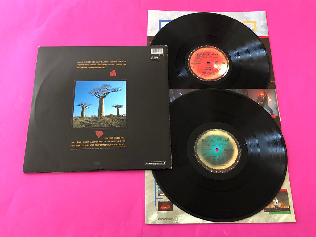Pink Floyd : Delicate Sound Of Thunder (LP,Album)