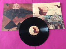 Charger l&#39;image dans la galerie, Black Flower (2) : Abyssinia Afterlife (LP, Album)
