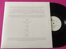 Load image into Gallery viewer, Black Flower (2) : Artifacts (LP, Album)
