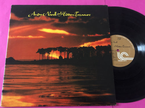 Andy Narell : Hidden Treasure (LP, Album)