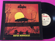 Load image into Gallery viewer, The Stranglers : Stranglers IV (Rattus Norvegicus) (LP, Album, RE)
