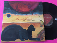 Load image into Gallery viewer, Michael Stearns : Ancient Leaves (LP,Album,Reissue,Remastered)
