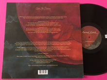 Load image into Gallery viewer, Michael Stearns : Ancient Leaves (LP,Album,Reissue,Remastered)
