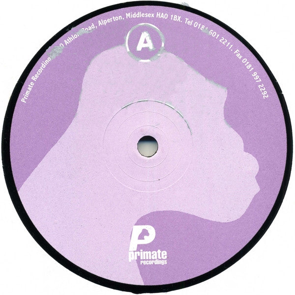 Various : Synthesized Symmetry E.P. (2x12", EP)