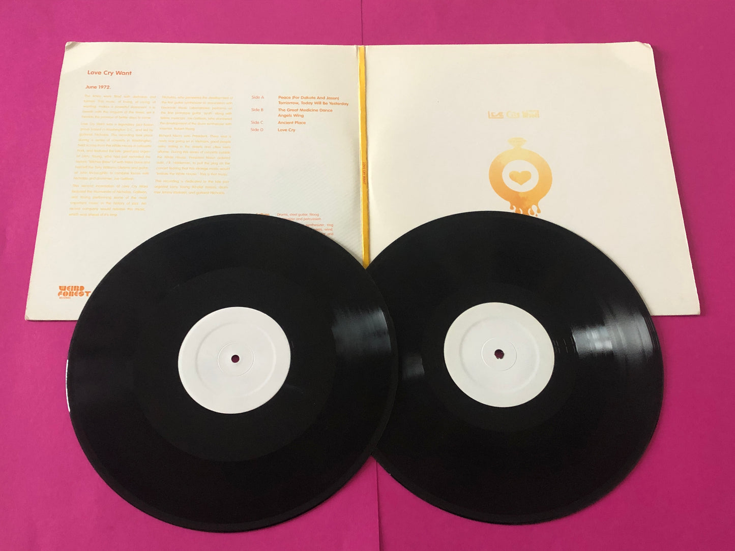 Mark McGuire (2) : Tidings / Amethyst Waves (LP, Album, RE, RM, TP + LP, Album, RE, RM, TP + Co)