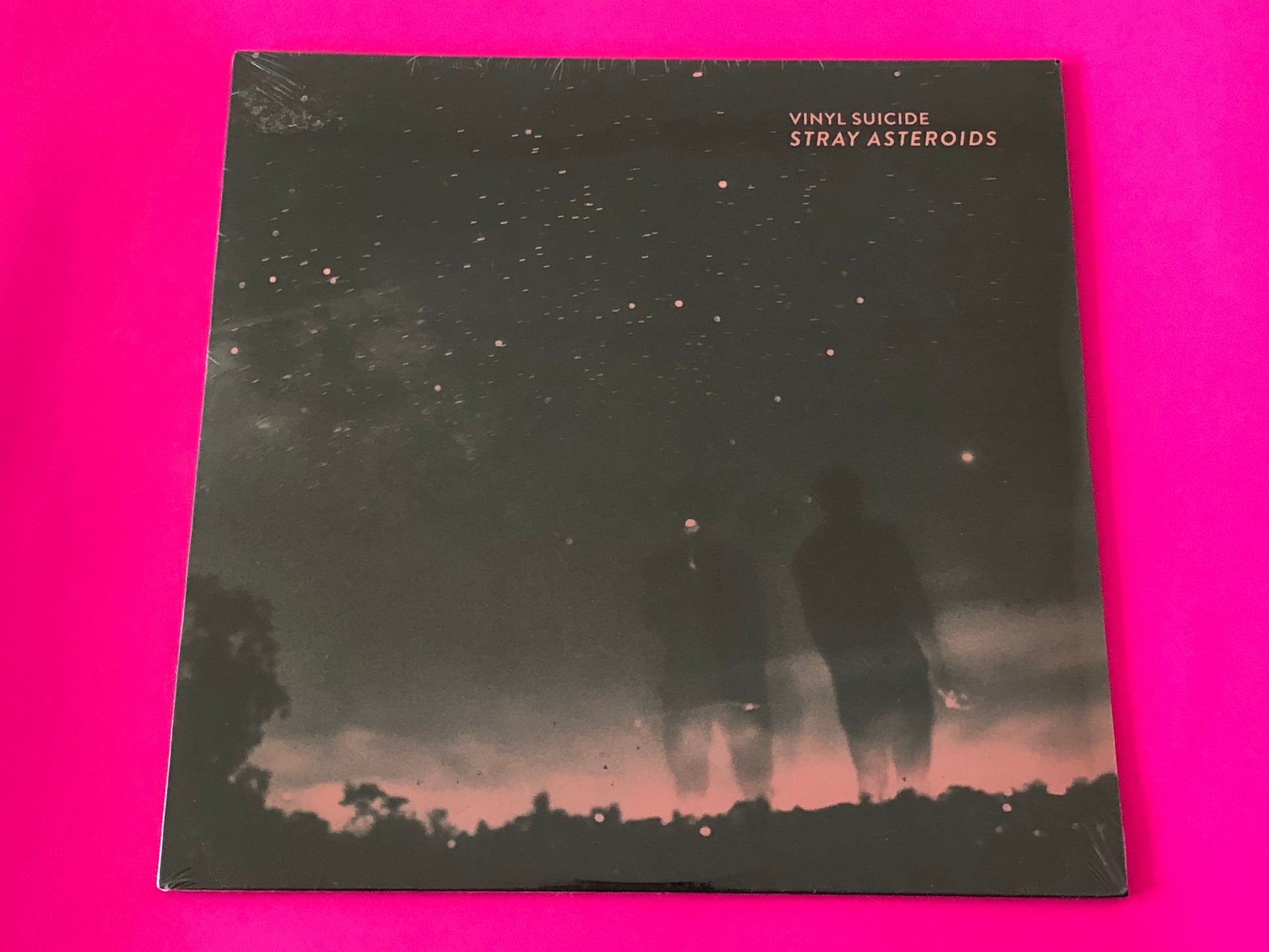 Vinyl Suicide : Stray Asteroids (LP)