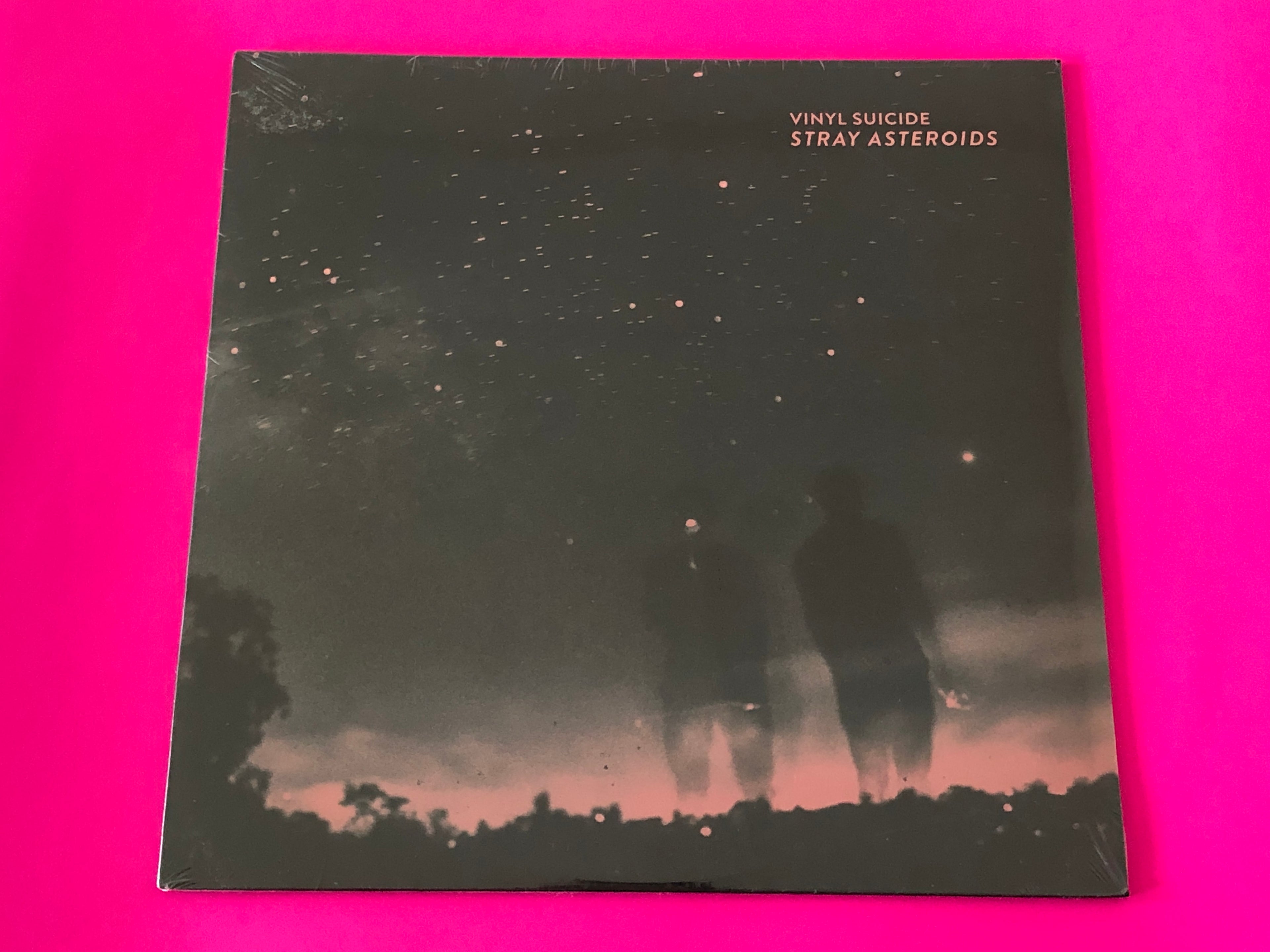 Vinyl Suicide : Stray Asteroids (LP)