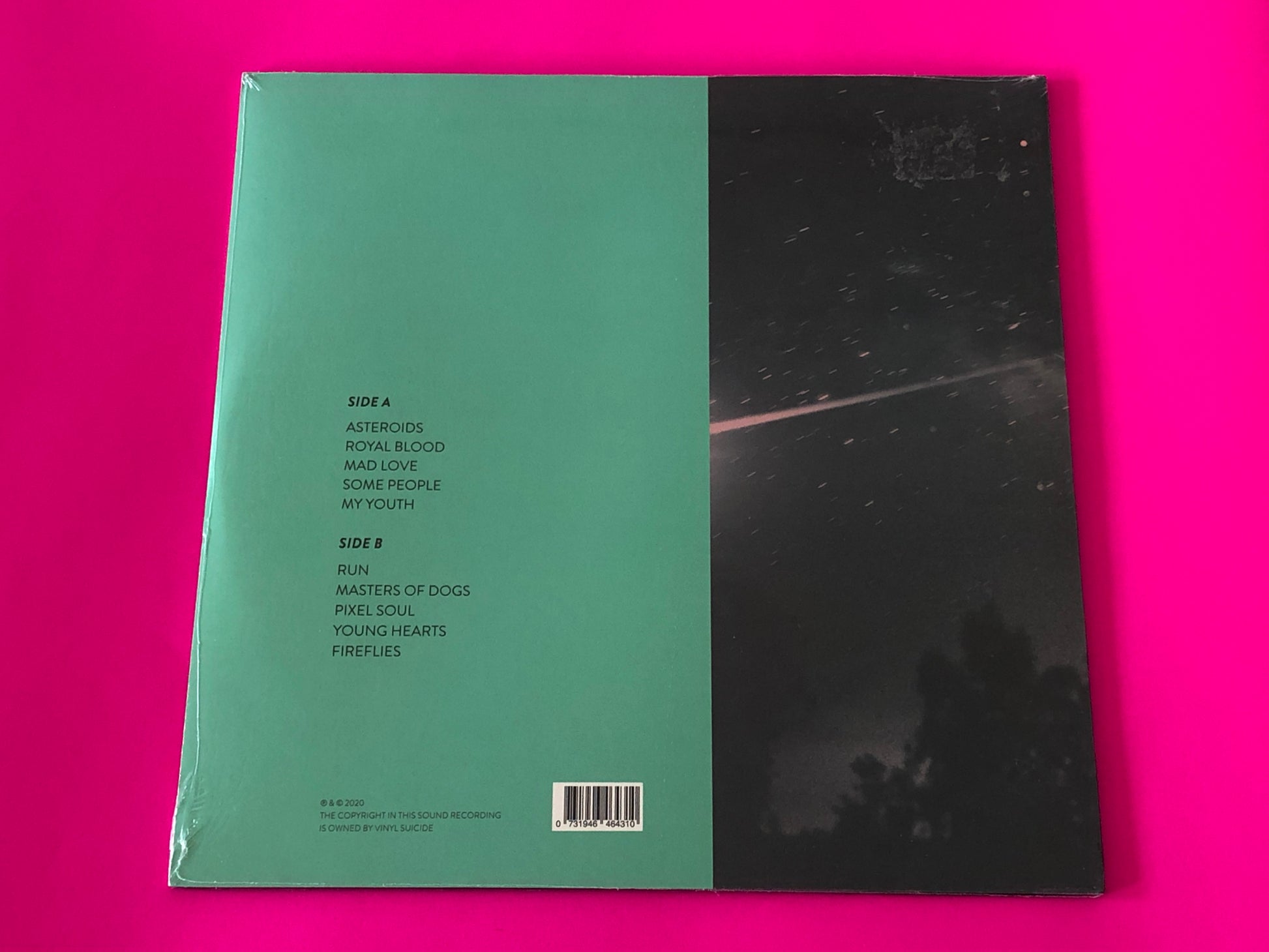 Vinyl Suicide : Stray Asteroids (LP)