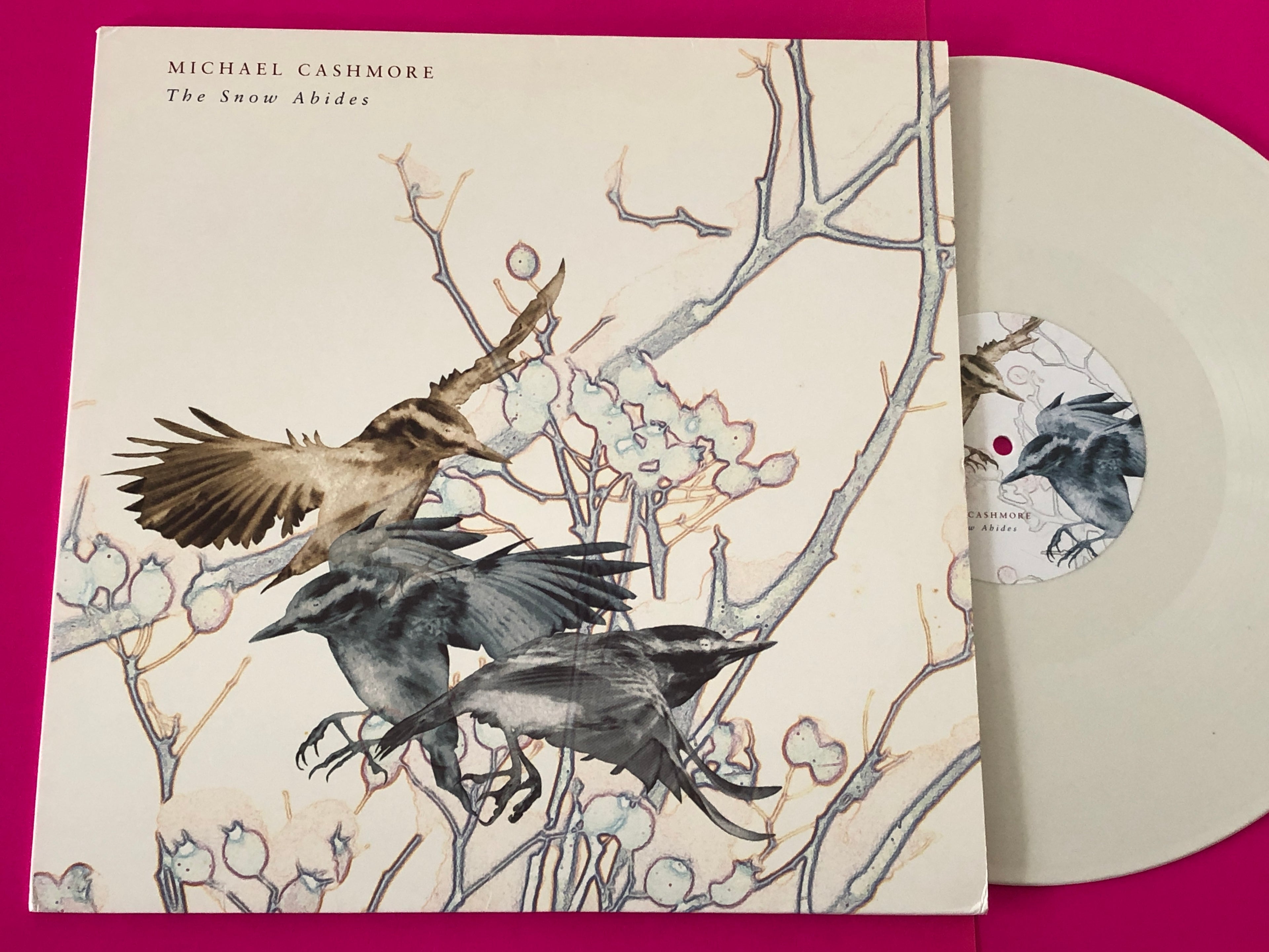 Michael Cashmore : The Snow Abides (LP, MiniAlbum, Whi)