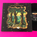 King's X : Gretchen Goes To Nebraska (LP, Album)