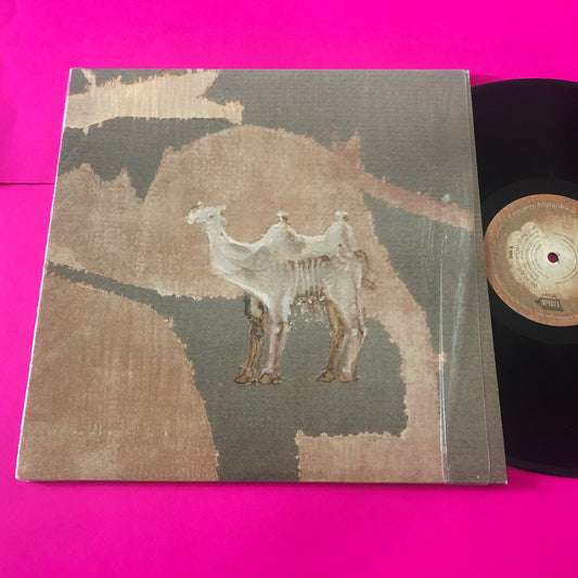 Chris Corsano, David Maranha & Richard Youngs : Corsano, Maranha & Youngs (LP, Album)