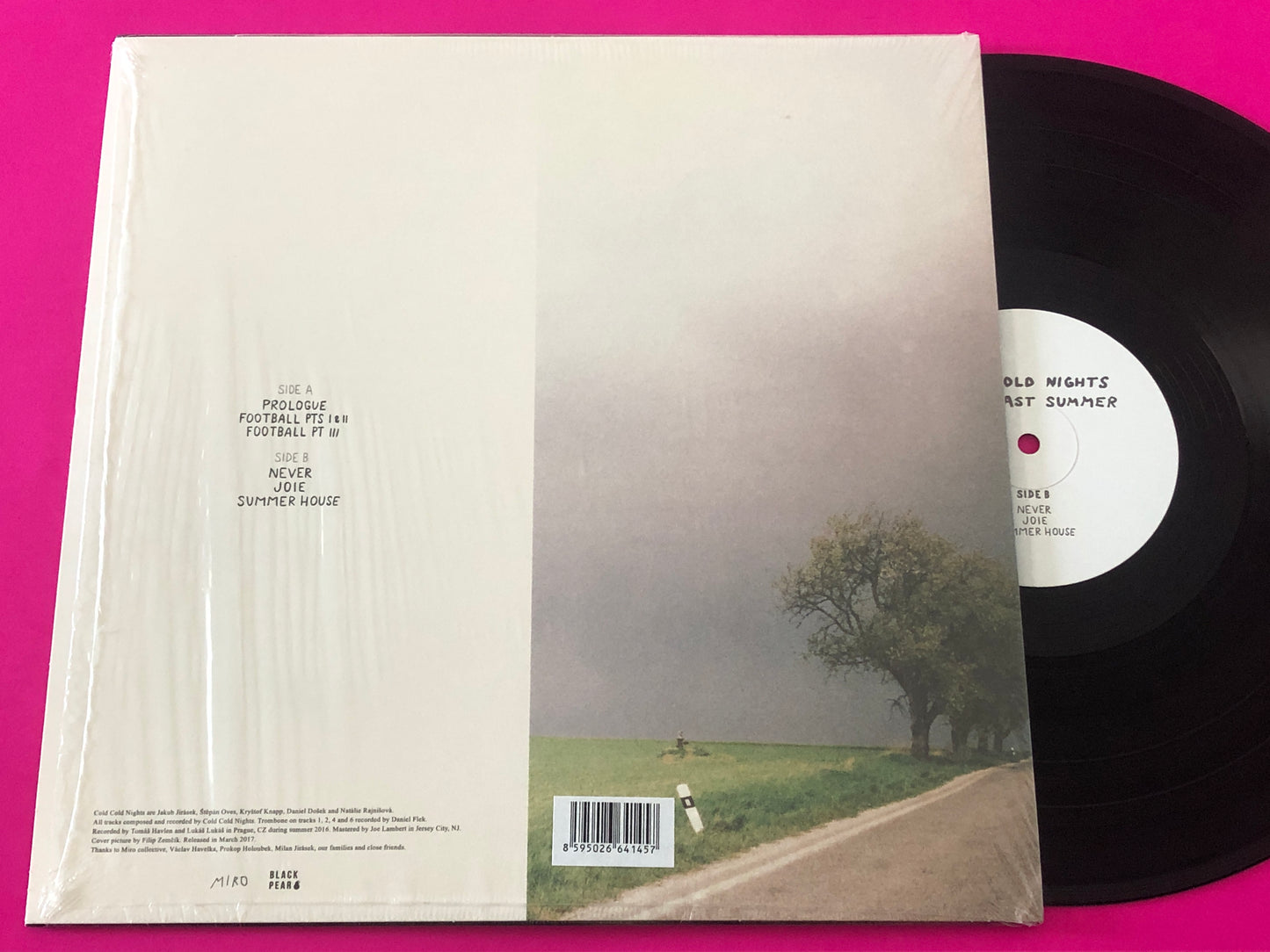 The Cold Cold Nights : (The) Last Summer (LP, Album, Ltd)