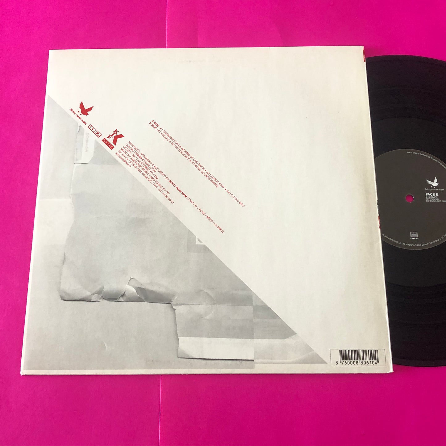 Birdy Nam Nam : Engineer Fear EP (12")