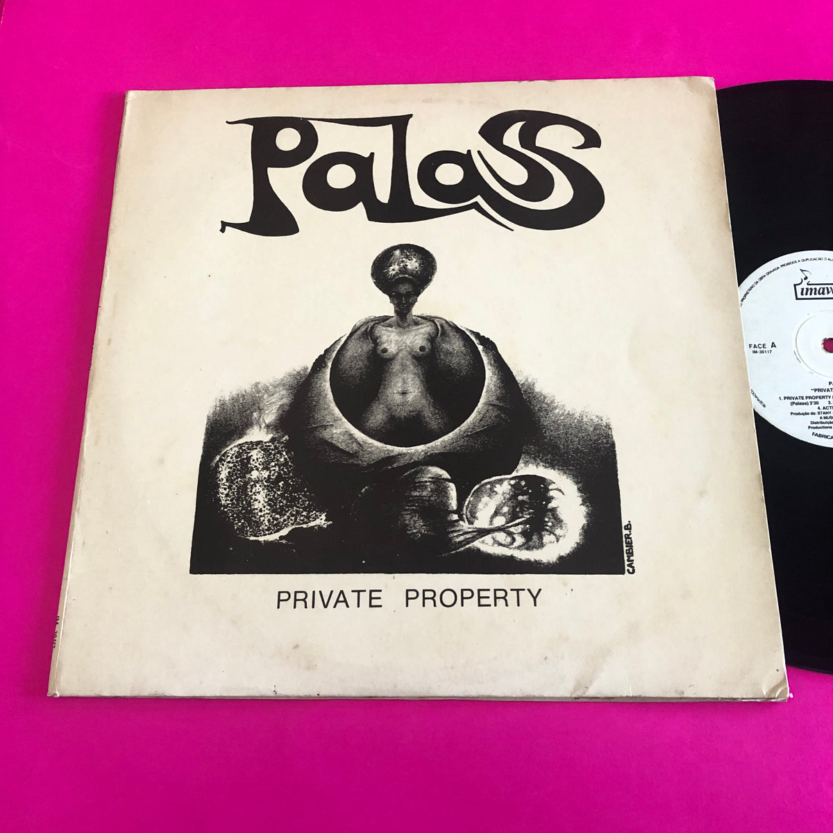Palass : Private Property (LP, Album)