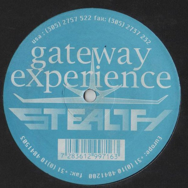 Gateway Experience* : Way In (12")